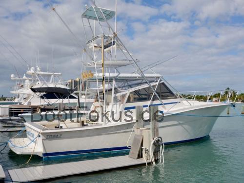 Topaz 32 Express  technische daten 